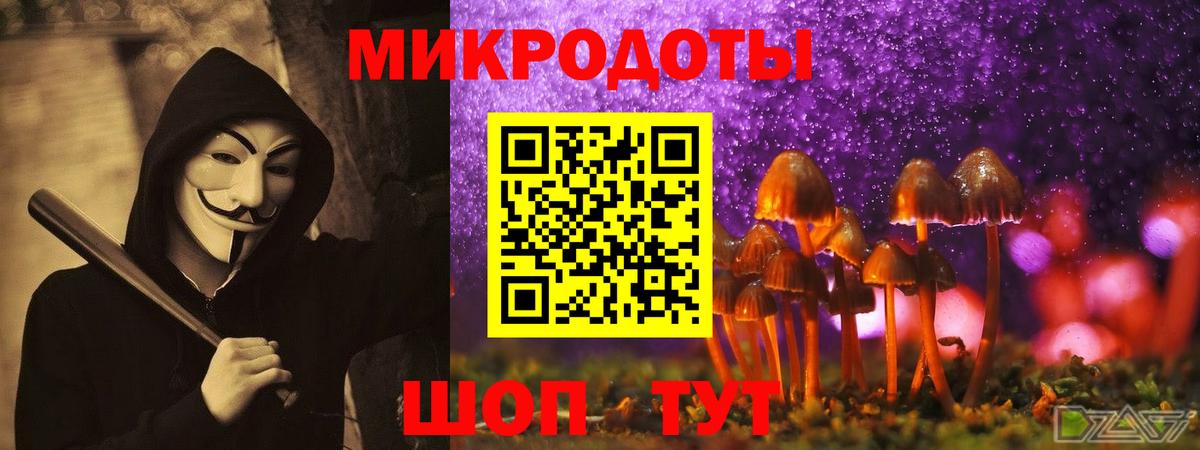 что такое   Псилоцибиновые грибы Magic Shrooms  Вход с VPN  Псилоцибиновые грибы Cubensis  Бузулук 