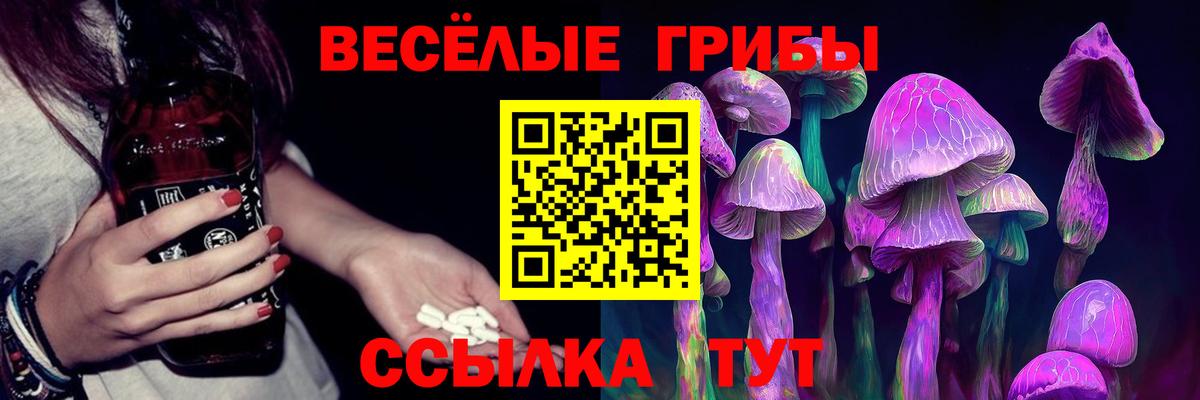 Галлюциногенные грибы мухоморы Бузулук